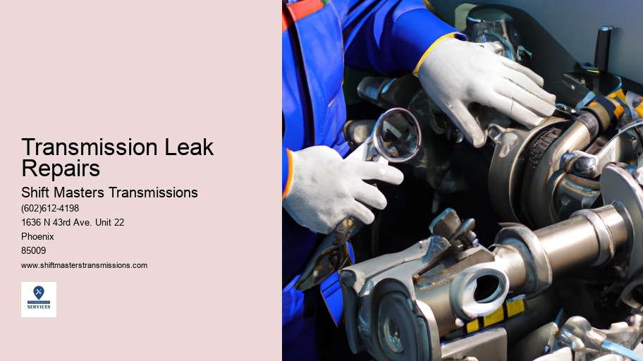 Transmission Leak Repairs